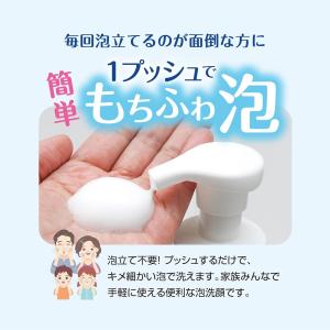 【定価1848円×4個セット】世界の果実 すっ...の詳細画像4