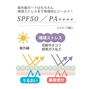 【定価6600円×3個セット】STECT/ステ...の詳細画像1