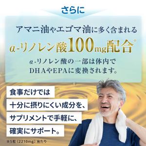 公式 青魚DHA EPA αリノレン酸プラス ...の詳細画像4