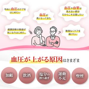 血圧 サプリ 90粒パウチ 約30日分 しなや...の詳細画像2