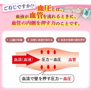 血圧 サプリ 90粒パウチ 約30日分 しなや...の詳細画像3