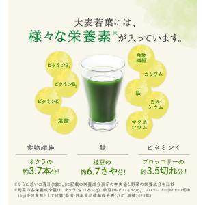 青汁 機能性表示食品 約30日分 健康な人の免...の詳細画像5