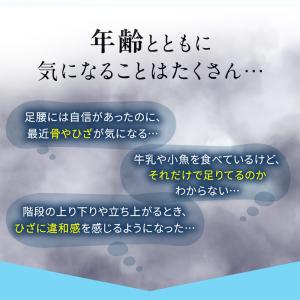 骨密度 サプリ 膝関節 骨こつケア 6個セット...の詳細画像3