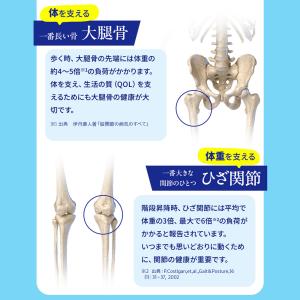 骨密度 サプリ 膝関節 骨こつケア 6個セット...の詳細画像5