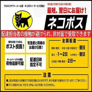 【クリックポスト便 1000円ポッキリ 送料無...の詳細画像2