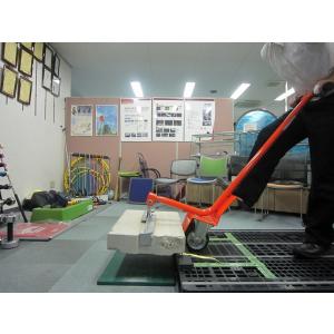 キャッチリフターWの詳細画像4