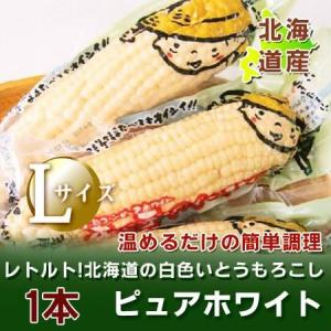 北海道産 ホワイトコーン 北海道 とうもろこし ピュアホワイト