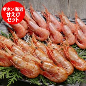 北海道 ギフト 市場 魚卵 えび ホタテ 松前漬け うに Yahoo ショッピング