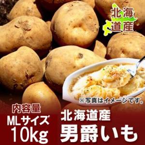 北海道産 男爵いも 新じゃが M〜2Lサイズ混合 5kg 男爵イモ 男爵芋