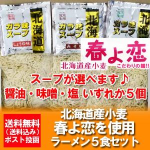 ポイント消化 お試し 1000円 メール便 送料無料 生ラー...