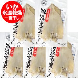 イカ 一夜干し  いか一夜干し 氷温乾燥 北海道産