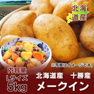 北海道産 男爵いも 新じゃが M〜2Lサイズ混合 5kg 男爵イモ 男爵芋