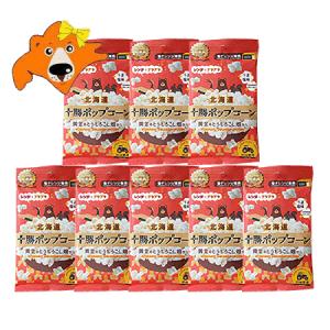 北海道 ポップコーン 送料無料 北海道産 とうも...の商品画像