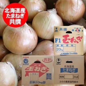 玉ねぎ（L大）20Kg 北海道産 たまねぎ 出荷時期：9〜4月 : 旬をお