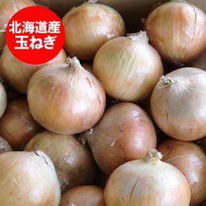 随時発送中 玉ねぎ 10kg 送料無料 たまねぎ 10kg Mサイズ 共撰 北海道 玉葱 野菜 たまねぎ 富良野 もしくは 北見F1 もしくは 名寄