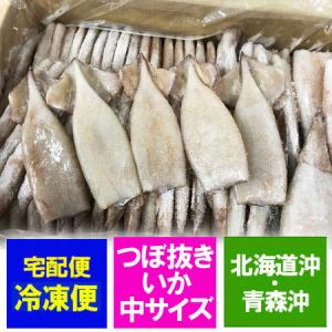 海鮮 バーベキュー 具材 いか 冷凍 北海道沖・青森沖