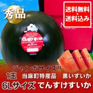 北海道 すいか 当麻産「でんすけすいか」 6L 秀品 北海道...