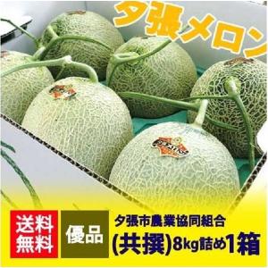 夕張メロン 送料無料 夕張メロン 8kg 夕張農協共撰 メロン 夕張 6玉入 1箱 優品 ゆうばりめろん ギフト 夕張メロン プレゼント お中元 フルーツ メロン｜asahikawajyogai