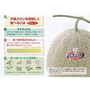 夕張メロン 送料無料 夕張メロン 2玉 (1....の詳細画像1