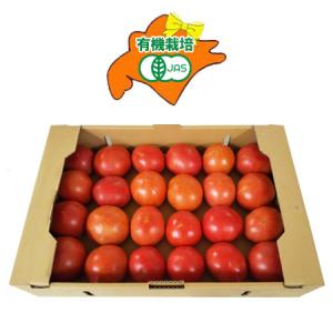 有機栽培 トマト 送料無料 有機 トマト 生食用トマト 夏野菜 トマト / とまと 1箱( 23〜28玉 ) 4kg 野菜 トマト｜asahikawajyogai
