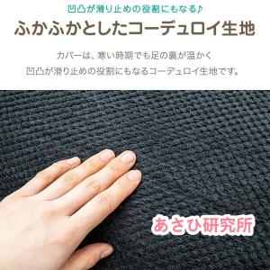 ドッグステップ 2段 なだらか 幅40cm 洗...の詳細画像2