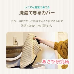 ドッグステップ 2段 なだらか 幅40cm 洗...の詳細画像3