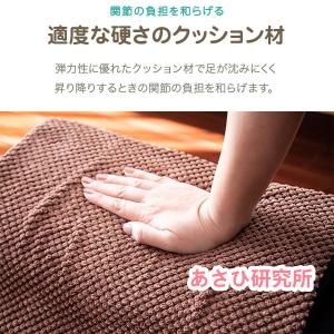 ドッグステップ 2段 なだらか 幅40cm 洗...の詳細画像4