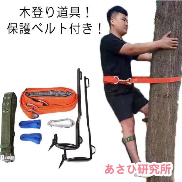 木登り器 業用安全帯 木登り道具 木登り靴 保護ベルト 果物選ぶ 耐荷重100kg 登山用 庭木 木...