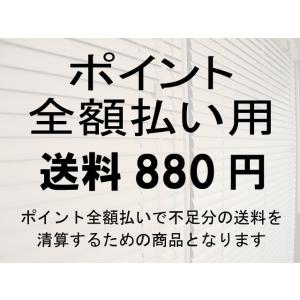 ポイント全額払い用 送料880円分｜asahiminami