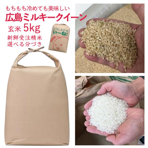 5年産 ミルキークイーン 玄米 5kg 出荷直前精米 選べる精米 分づき 安い 送料無料 もちもち ...