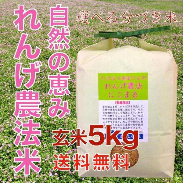 5年産 自然栽培 れんげ農法 玄米 5kg 出荷直前精米 分づき 減農薬 選べる 精米 送料無料 低...