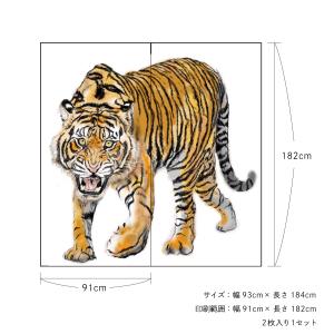 ふすま紙 アニマル デザイン 襖紙 虎の巻 t...の詳細画像2