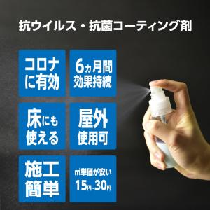 アサヒペン 抗菌スプレー APシールド コーテ...の詳細画像2
