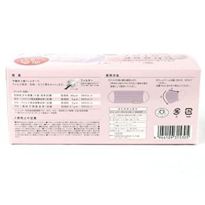 チークカラーマスク アッシュピンク 小さめワイ...の詳細画像1