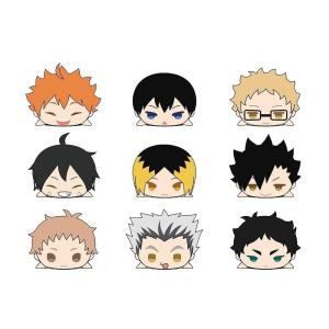 ハイキュー もちマス もちもちマスコットWA ハイキュー!! vol.1 BOX商品 全9種類セット もち