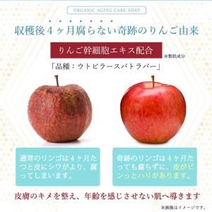 オーガニック 泡洗顔 女性 RESESTA 高...の詳細画像5