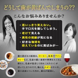 ホワイトニング 歯磨き粉 SHINE WHIT...の詳細画像4