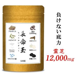 健康維持 元気 サプリ 霊芝 12000mg 高配合 スピルリナ プロポリス 牡蠣 シジミ  霊芝粉...