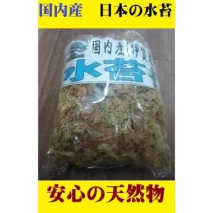 乾燥水苔 80g 三重 伊賀産 天然 洋ラン 80ｇ セッコク 無農薬 まとめ買い 国産 日本産 貴重 蘭 洋蘭 趣味 インテリア 水コケ おうち時間 みずこけ ポイント消化