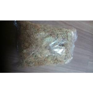 乾燥水苔 30g 水こけ 三重伊賀産 ミズゴケ...の詳細画像1