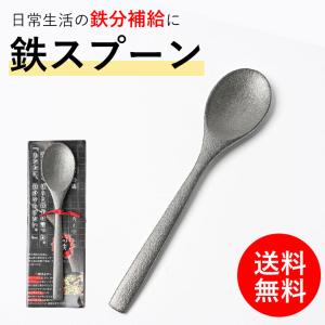 鉄 鉄分補給 鉄のスプーン 鉄子のさじ 鉄ヘラ 鉄玉子代替え