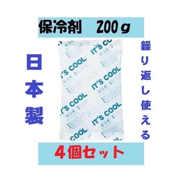 保冷剤 大サイズ I-200 4個セット 200g 大 蓄冷剤 キャンプ エコ 200ｇ 日本製 冷...
