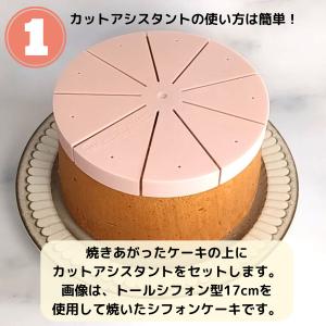 シフォンケーキ用カットアシスタント 17cm ...の詳細画像3