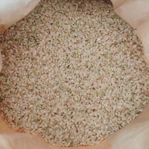 新米【 玄米 】 20kg 特別栽培米こしひか...の詳細画像1