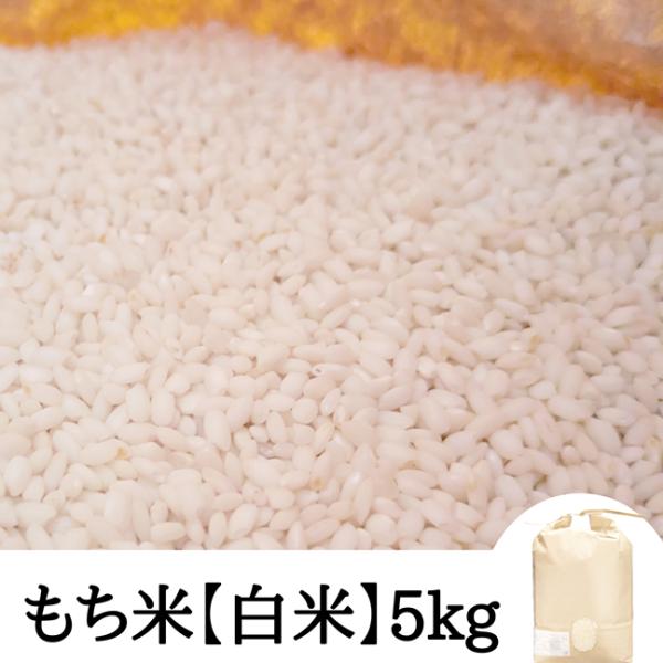 もち米　新羽二重　５キロ【白米】令和7年産　新米　京都府京丹波町産