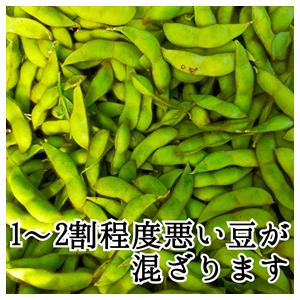 【訳アリ】 1.8kg 無選別 黒豆の枝豆 京...の詳細画像3