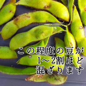 【訳アリ】 1.8kg 無選別 黒豆の枝豆 京...の詳細画像1