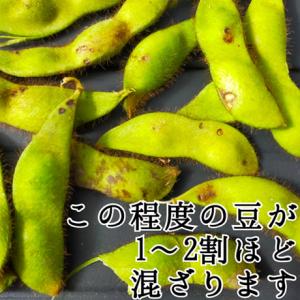 【訳アリ】 1.8kg 無選別 黒豆の枝豆 京...の詳細画像2