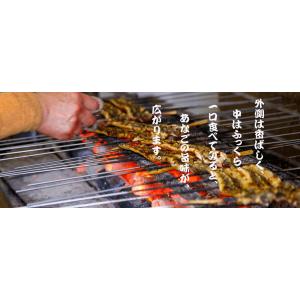炭火焼き あなご 大穴子 1串2匹の詳細画像3