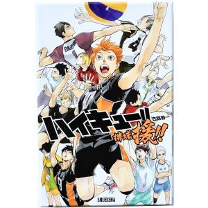 ハイキュー!!（全45巻セット）[9,15,21,27,42巻は限定版] : マンガ屋
